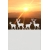 ROZ36 50x47 naklejka na okno wzory zwierzęce - sarny, jelenie, łosie